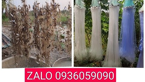 Bán lưới cá lòng tong, bán lưới cá chẽm, bán lưới cá rô phi... Bán lưới 1 màn, lưới 3 màn 0936059090