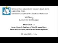 Séminaire Du LJLL 2025 05 19 Yu Deng Séminaire Du LJLL 2025 05 19 Yu Deng