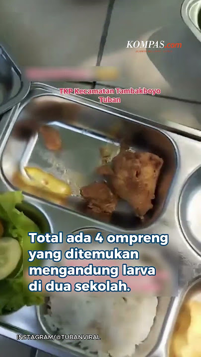 Viral! Belatung di Menu MBG Tuban, BGN: Dapurnya Masih Baru