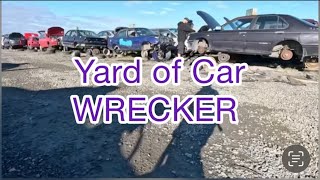 Yard of Car Wrecked, Christchurch NZ