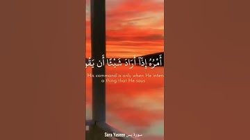 #تلاوة_هادئة #تجويد_القرآن #تلاوة_خاشعة #تلاوات الشيخ #ماهر_المعيقلي #المعيقلي حفظه الله #مكه #الحرم