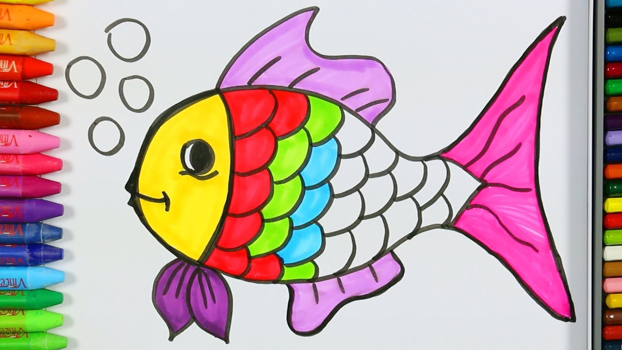 Página para colorear peces💦| Cómo dibujar y colorear peces | Pintura de  pescado | Aprender colorear - thptnganamst.edu.vn