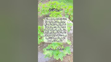 سورة المائدة ٤٨ #قرآن_كريم #قرآن #قران #قران_كريم #اكسبلور #quran #قرأن