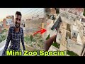 Mini zoo special shehr main dihat  turab and sabtain