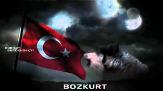 BİR KURT GÖRÜN BU GECE