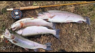 Do trout feed in murky water? Excellent fly fishing!