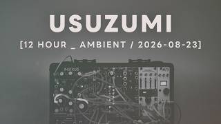 Usuzumi / Ambient Session 13A : Modular Synth Ambient