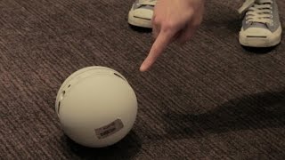 LG's Rolling Bot is an adorable house and pet sitter