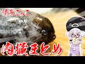 ごっこ 内臓まとめ【結月ゆかりのお腹が空いたので 外伝】