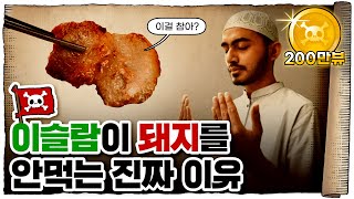 💀 돼지고기를 안먹는 종교, 소고기를 안먹는 종교 / 💀 종교는 왜 고기를 못 먹게 할까?