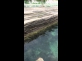 Seawater pool