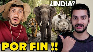 Finalmente La Cara Bonita de India (Araya Vlogs en la India)