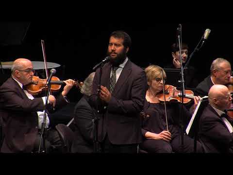 צבי גרינהיים - שיבנה בית המקדש | Tzvi Grinhim - sheyibonh beis hamikdosh