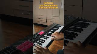 Huaynos Los Campesinos Samples Teclado #Loscampesinos #Musichuayotuma  #Reason5