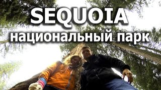 #29. Национальный парк Sequoia в США. Путешествие по Америке(Спонсор видео www.fazenda-promo.ru - организация мероприятий, аренда оборудования, профессиональный звук, свет, лазе..., 2016-05-19T18:29:20.000Z)