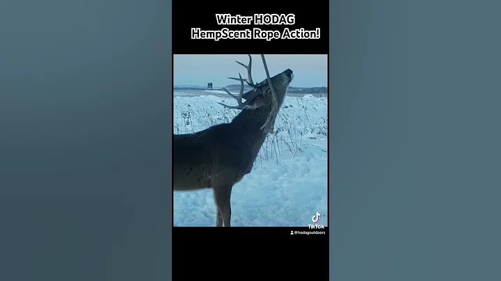 Winter HODAG Hemp Rope 🔥❄️ #deerhunting #bowhunting #bowhuntingwhitetails #bowhunting #shorts - DayDayNews