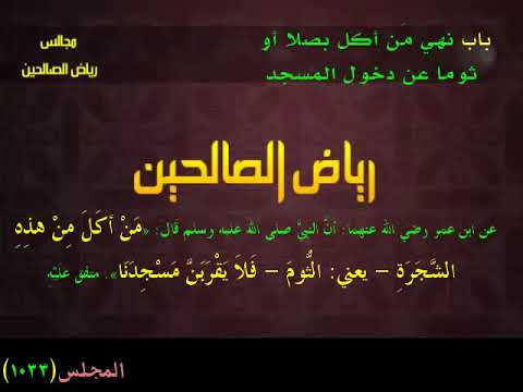 مجالس رياض الصالحين 1033 كتاب الأمور المنهي عنها باب نهي م ن أكل ثوم ا أو بصلا عن دخول المسجد Youtube