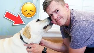 Something BAD Happened To Our DOG! | Ellie and Jared