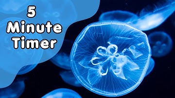 5 Minute Timer | Peaceful and Calming Jellyfish Timer | Countdown Timer with Alarm