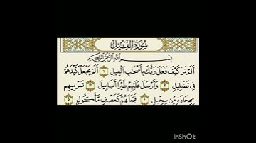 سورة الفيل ، الشيخ سعد الغامدي  .