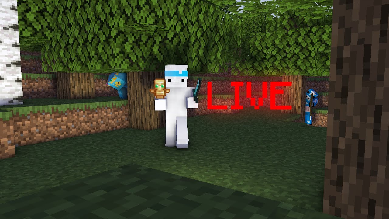 🔴 LIVE: Playing on My Own SMP Server!