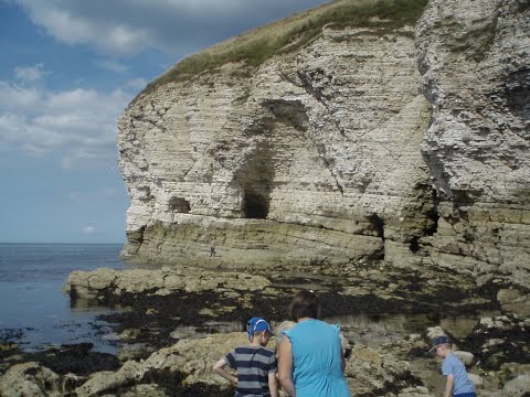 Vidéo: Où est la baie de Thornwick ?