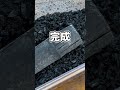 ダニみたいな生き物を部屋にまき散らかしてしまいました…