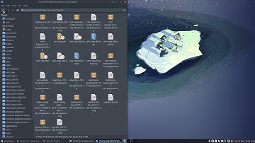 ArcoLinux : 1921 Carli 10 - adding a third-party netinstall to Calamares from TechXero