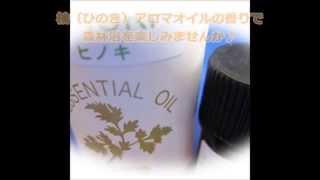 【ひのき村】檜（ヒノキ）アロマオイル HINOKI