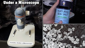 Sea Salt/Table Salt Under a Microscope (LP). Microscopic Crystals. Up close.