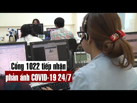 Cổng 1022 tiếp nhận phản ánh COVID-19 bất kể giờ giấc - PLO