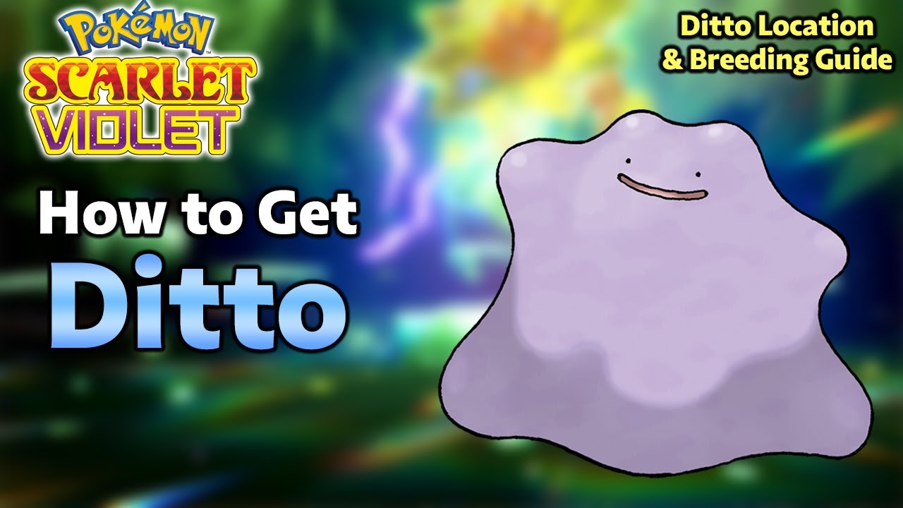 Get A Perfect Ditto For Breeding In Pokémon Scarlet And Violet