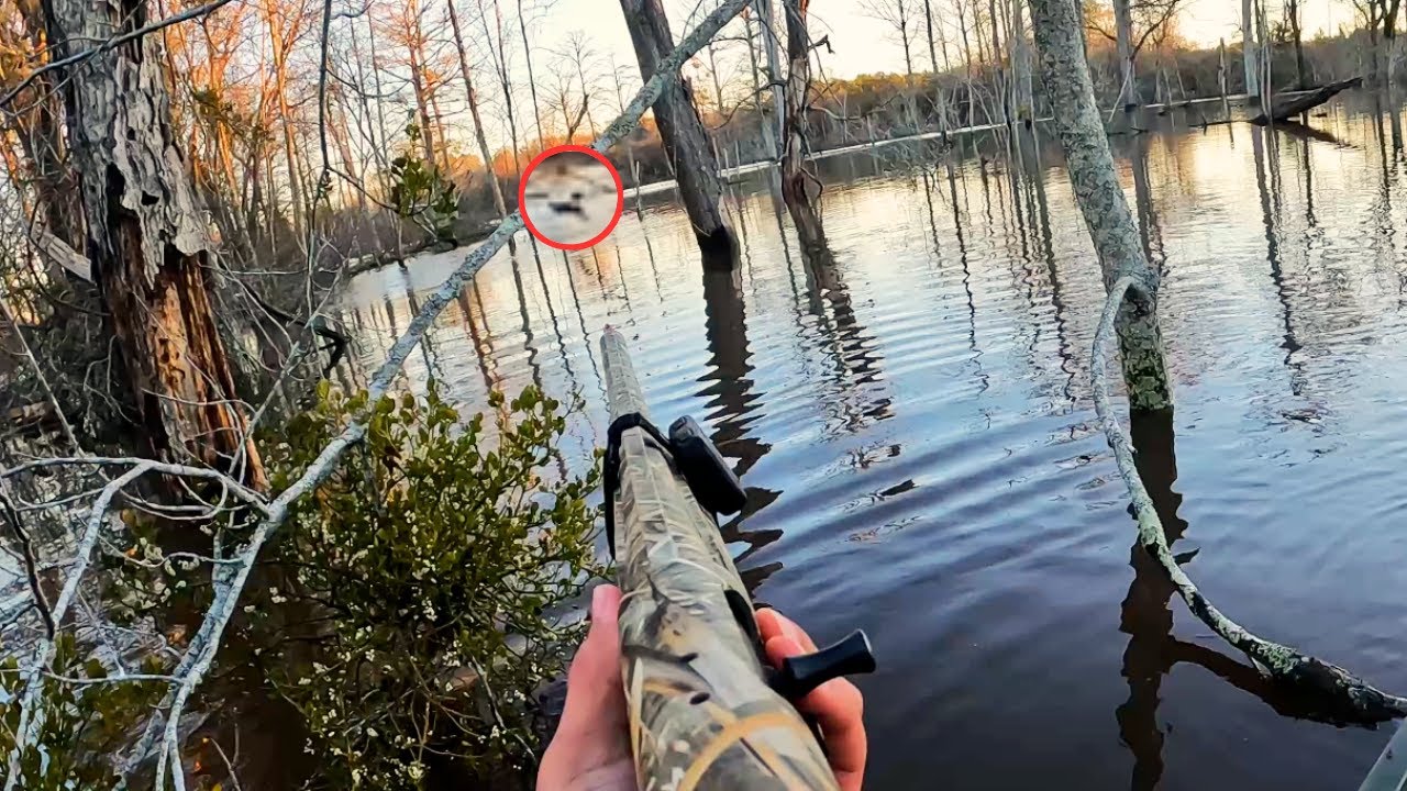 Water Swatting Woodies in the Yak