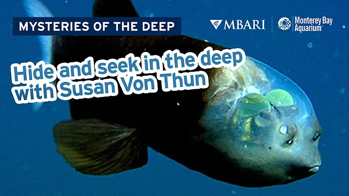 Mysteries of the Deep with Susan Von Thun  Deep-Se...