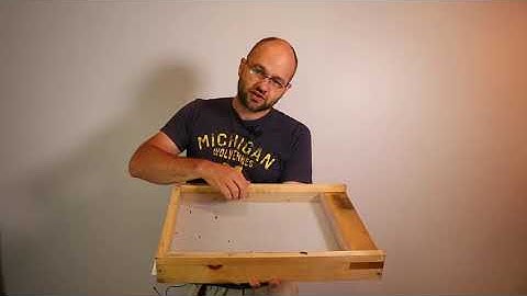 Screened Bottom Boards vs Solid Bottom Boards - Which is Better?