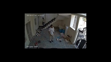 TplinkVigi C420i& VigiC320i | IP Network camera |Ai based surveillance #security  #tplinkvigi #cctv