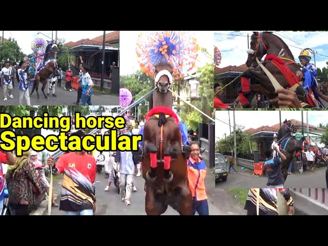 🔴 10 Awesome horse dances in Indonesia class=