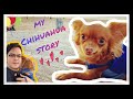 Vlog#2- my CHIHUAHUA story