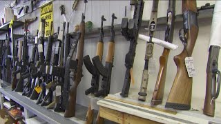 Gun reform debate continues after recent mass shootings