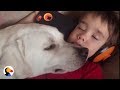 Boy With Autism Gets Dog Who Changes His Life | The Dodo