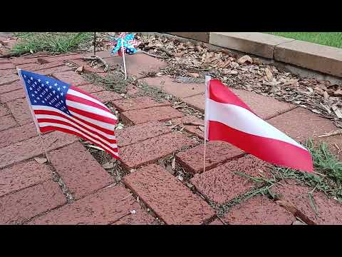 American and Austrian flags waving