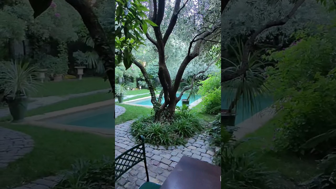 отель в парке 