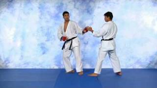 Machida lead kick.avi