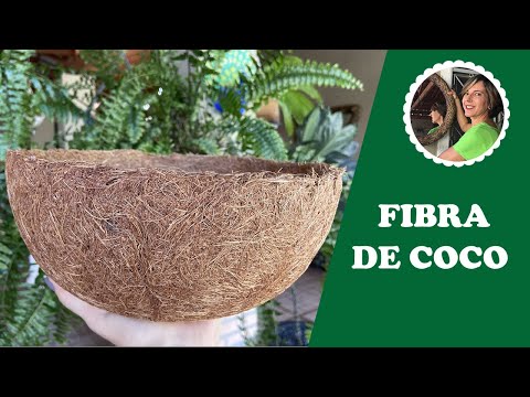 DIY - How to make plant pots from coconut fiber - make and sell