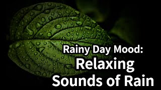 Rainy Day Mood: Relaxing Sounds of Rain