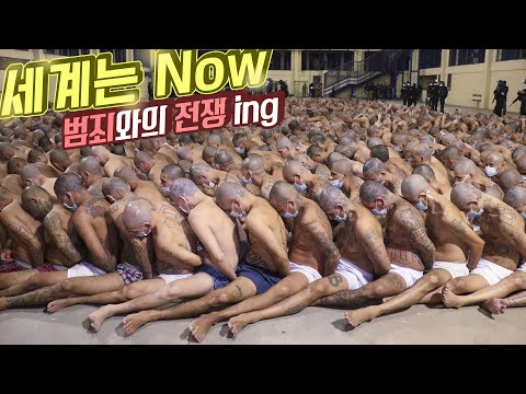 전세계 살인률 1위 엘살바도르, 범죄와의 전쟁을 선포한 30대 대통령