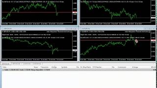 Live Trading . Forex Robot  Turn 5k To 20000 USD in 1 day