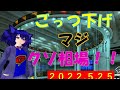 第4回 ガリクソン通信 2022/05/25