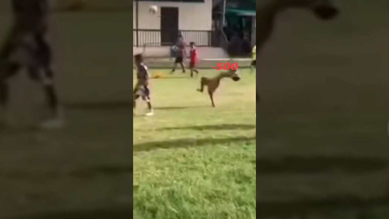 diablos que headshot le di le di un headshot - videos ramdon 🤣🤣