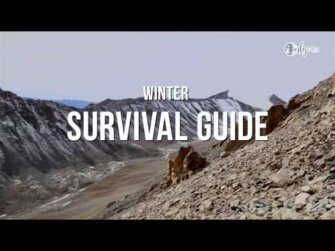 Winter Survival Guide in Ladakh From a Local